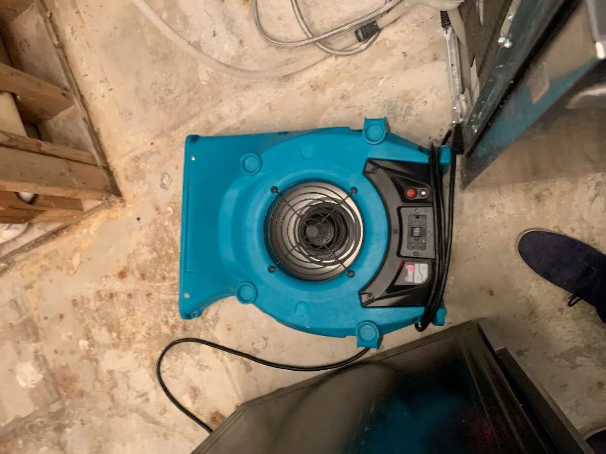 Air mover drying equipment for Mold Remediation & Removal in Gentry