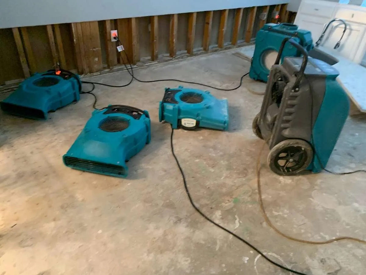 Water Damage Restoration services in Gentry, AR